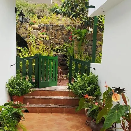 Chalet Hacienda Los Dragos By Deihu Experiences Tacoronte