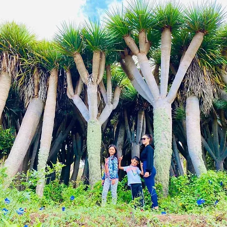 Chalet Hacienda Los Dragos By Deihu Experiences *