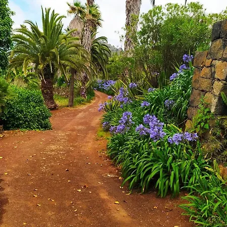 Hacienda Los Dragos By Deihu Experiences Σαλέ Tacoronte