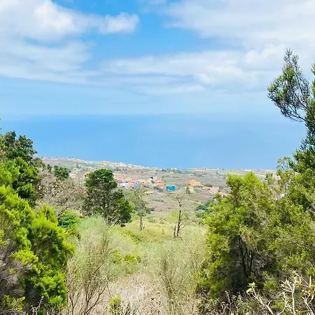 Hacienda Los Dragos By Deihu Experiences * Tacoronte