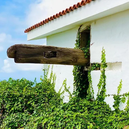 Alpstuga Hacienda Los Dragos By Deihu Experiences Tacoronte